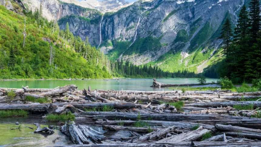 Glacier National Park