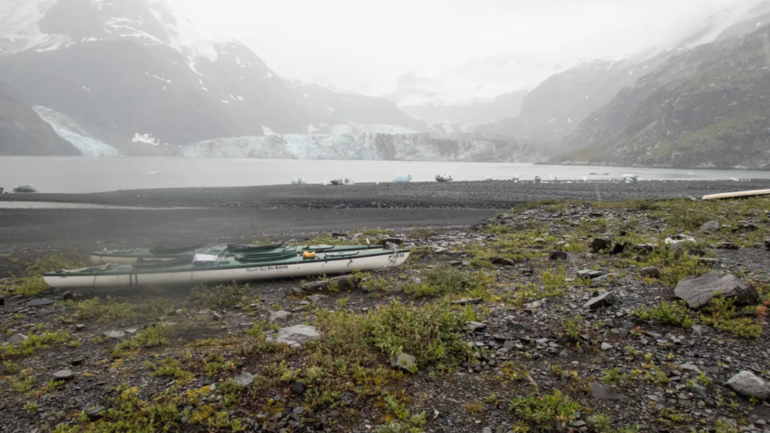 black sand beach